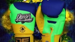 Guantes de boxeo Danger Evolution Brasil Samba Carioca